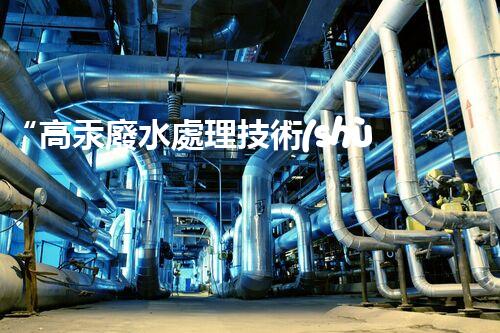 “高汞廢水處理技術(shù)，綠色環(huán)保新篇章”